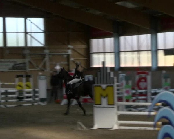 Reitturnier Polzow 2017