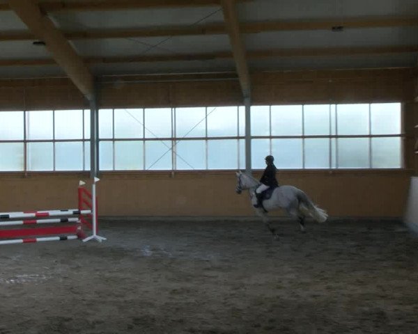 Reitturnier Polzow 2017