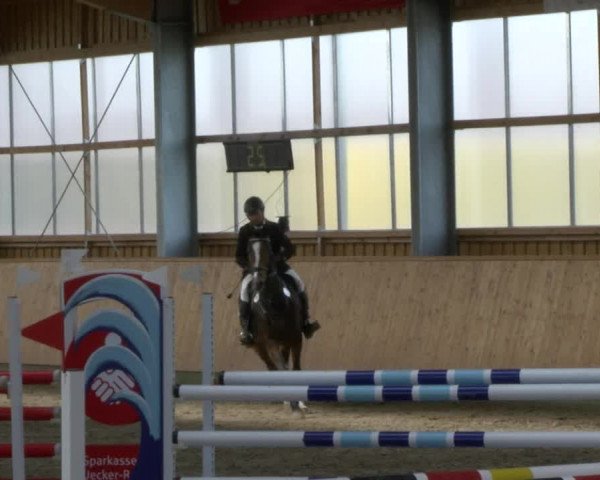 Reitturnier Polzow 2017