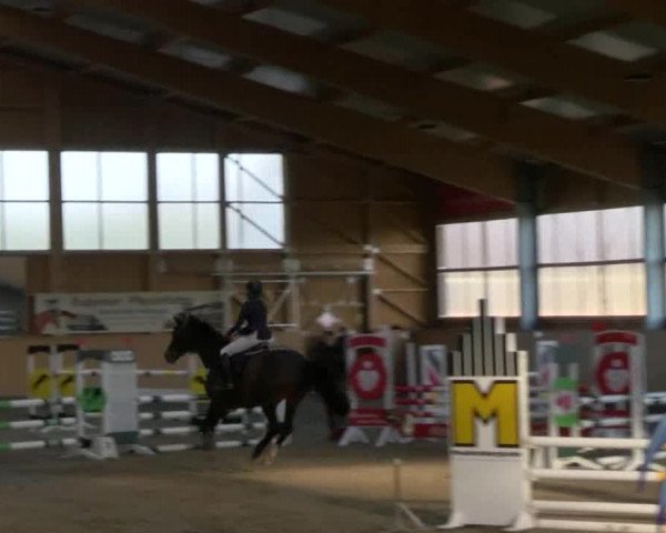 Reitturnier Polzow 2017