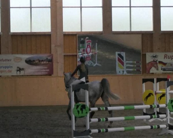 Reitturnier Polzow 2017