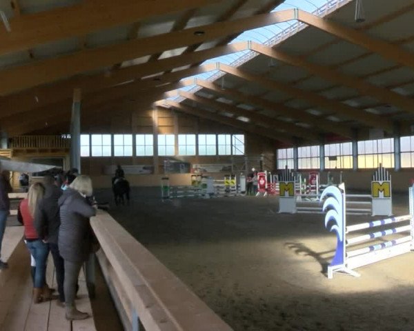 Reitturnier Polzow 2017