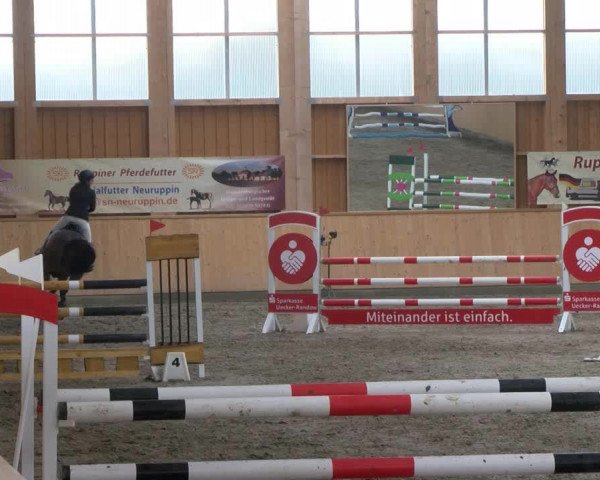 Reitturnier Polzow 2017