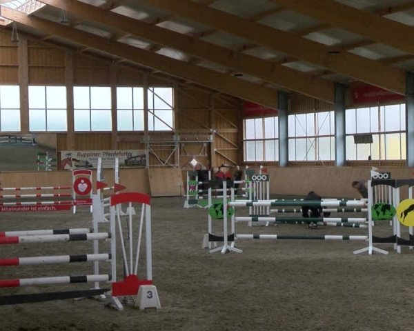Reitturnier Polzow 2017