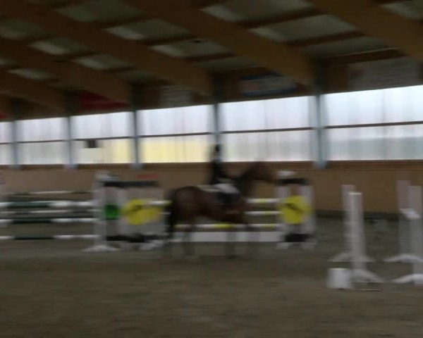 Reitturnier Polzow 2017