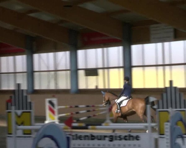 Reitturnier Polzow 2017