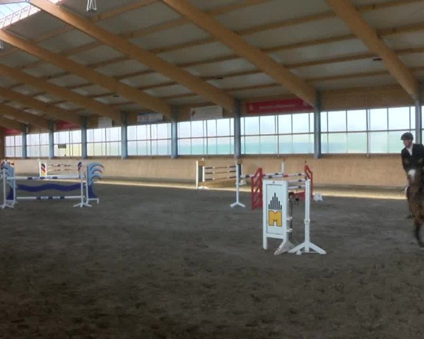 Reitturnier Polzow 2017