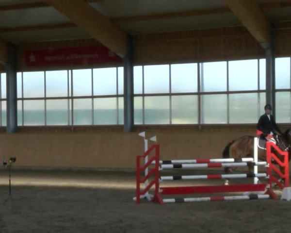 Reitturnier Polzow 2017
