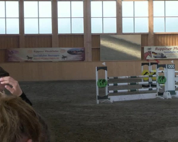 Reitturnier Polzow 2017