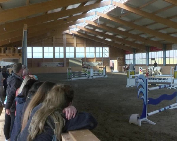 Reitturnier Polzow 2017