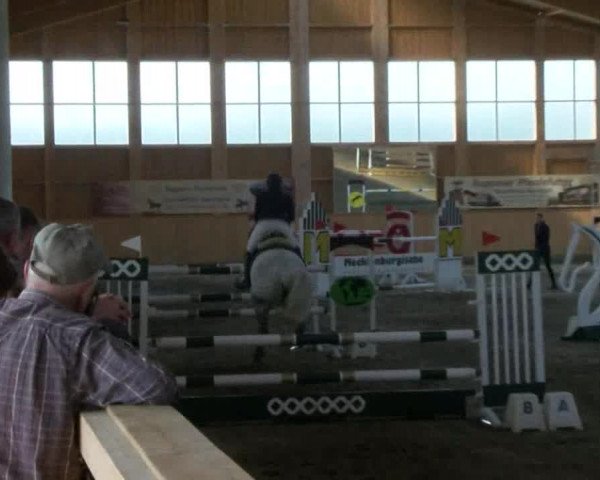 Reitturnier Polzow 2017