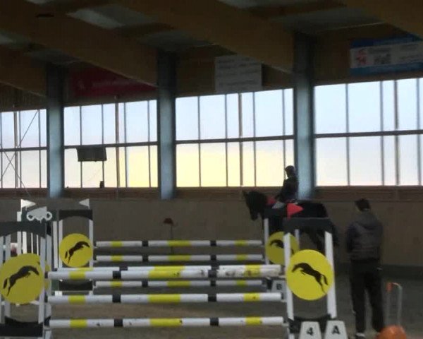 Reitturnier Polzow 2017
