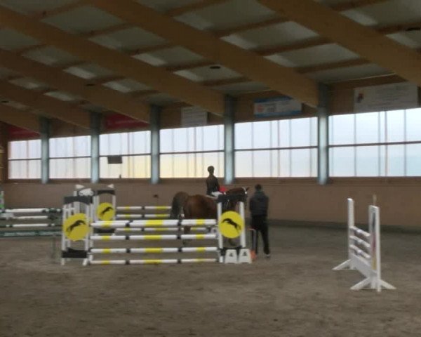 Reitturnier Polzow 2017