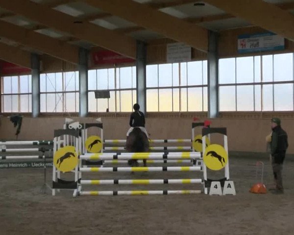 Reitturnier Polzow 2017