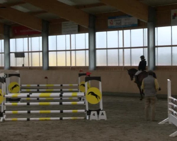 Reitturnier Polzow 2017