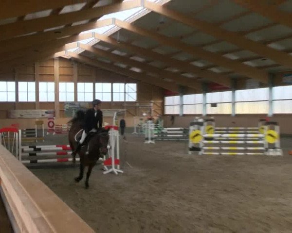 Reitturnier Polzow 2017