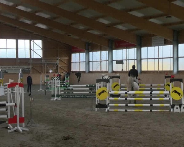 Reitturnier Polzow 2017