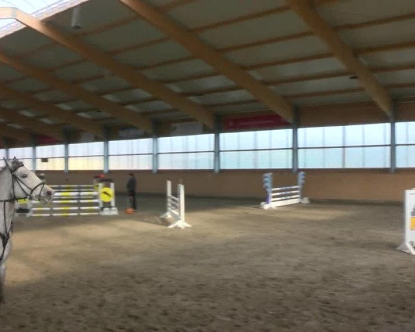 Reitturnier Polzow 2017