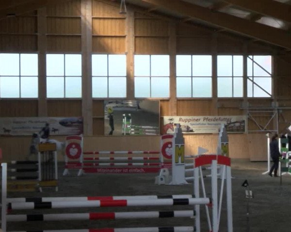 Reitturnier Polzow 2017