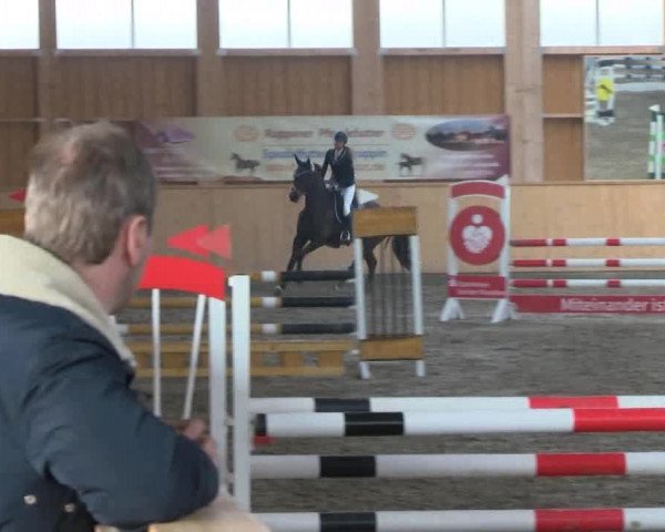 Reitturnier Polzow 2017