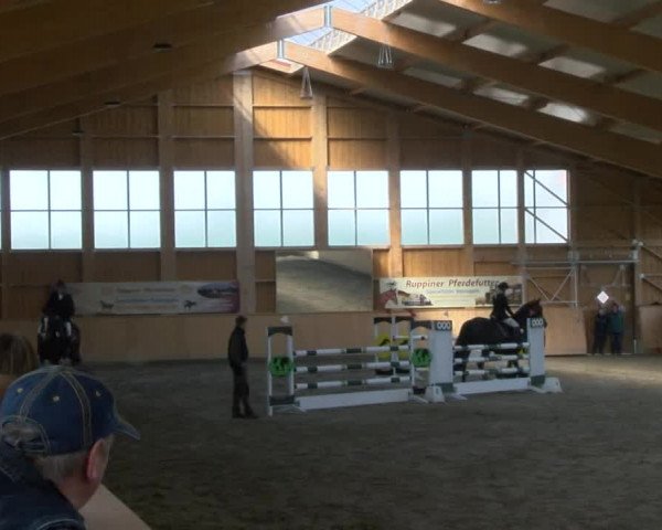 Reitturnier Polzow 2017