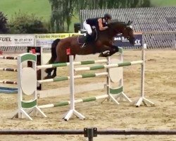 Springpferd Battimone Lalan 3 (KWPN (Niederländisches Warmblut), 2006)