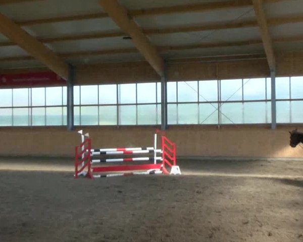 Reitturnier Polzow 2017