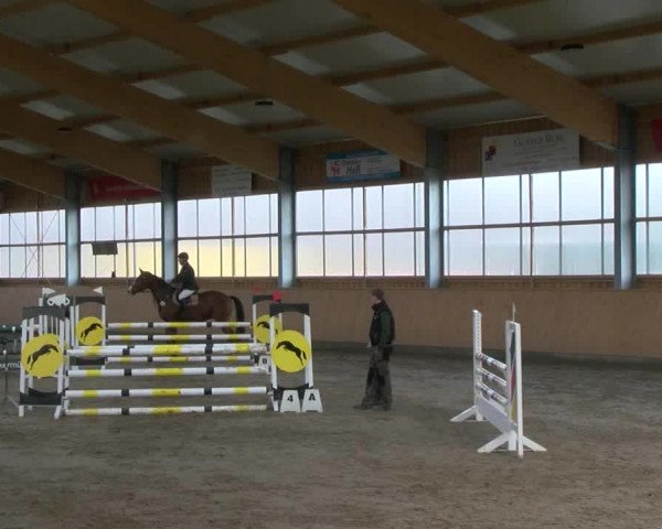 Reitturnier Polzow 2017