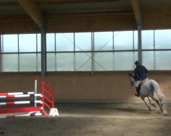 Reitturnier Polzow 2017