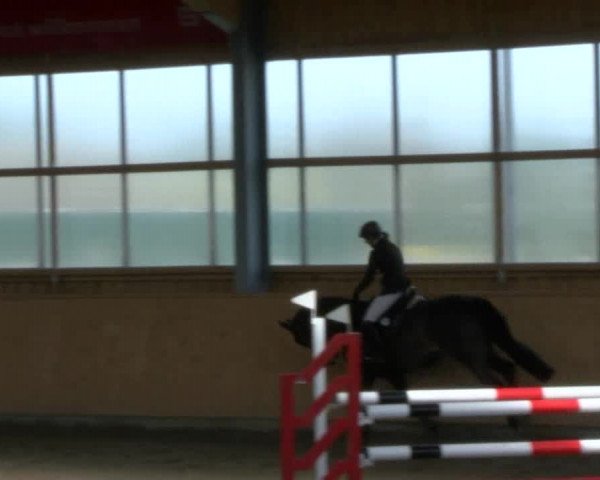 Reitturnier Polzow 2017