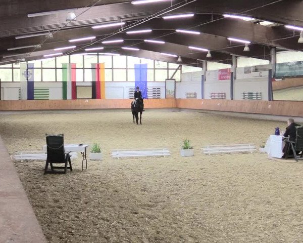 Reitturnier Bottrop 2017
