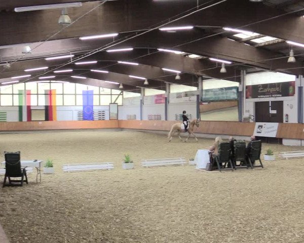 Reitturnier Bottrop 2017