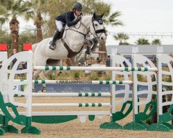 jumper Captain Jack (Belgian Warmblood, 2009, from Der Senaat 111)
