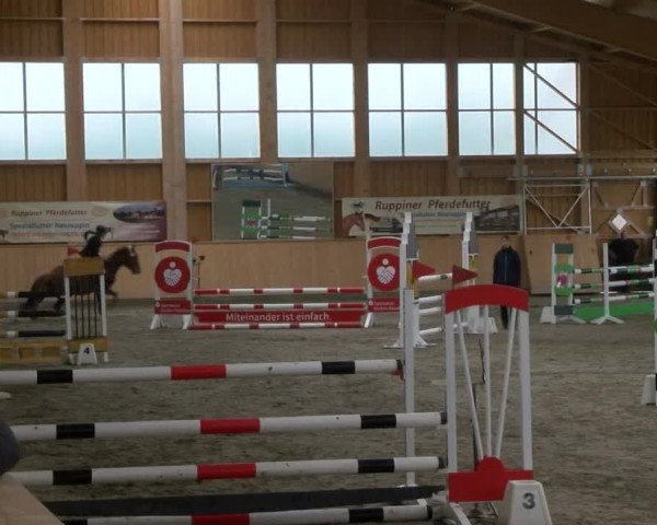 Reitturnier Polzow 2017