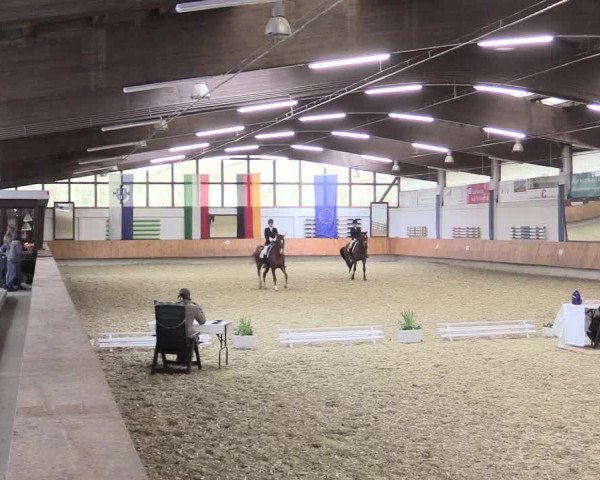 Reitturnier Bottrop 2017