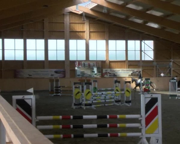 Reitturnier Polzow 2017