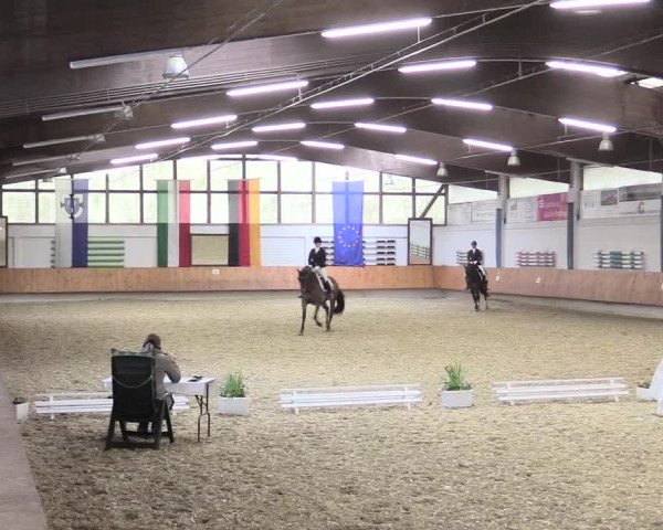 Reitturnier Bottrop 2017