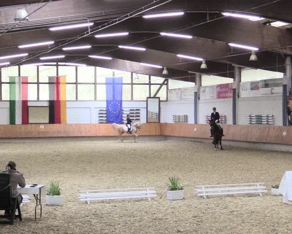 Reitturnier Bottrop 2017