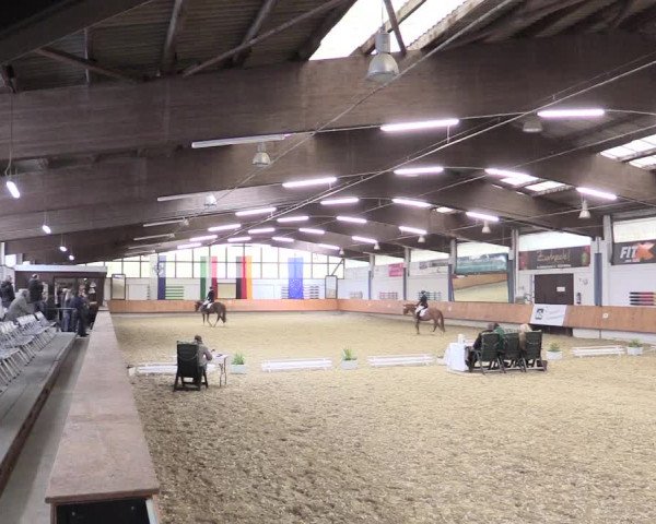 Reitturnier Bottrop 2017