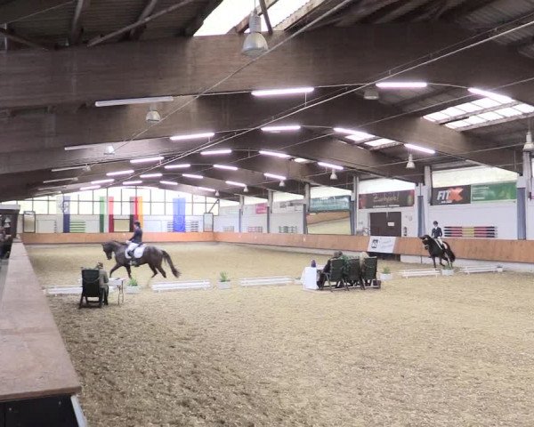 Reitturnier Bottrop 2017