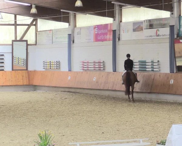 Reitturnier Bottrop 2017