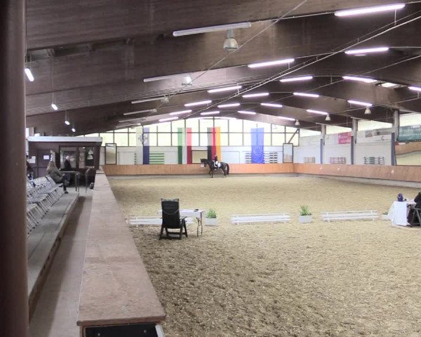 Reitturnier Bottrop 2017
