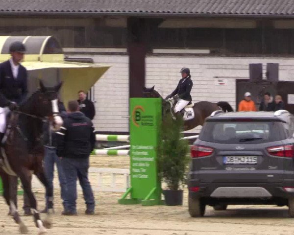 Reitturnier Bottrop 2017