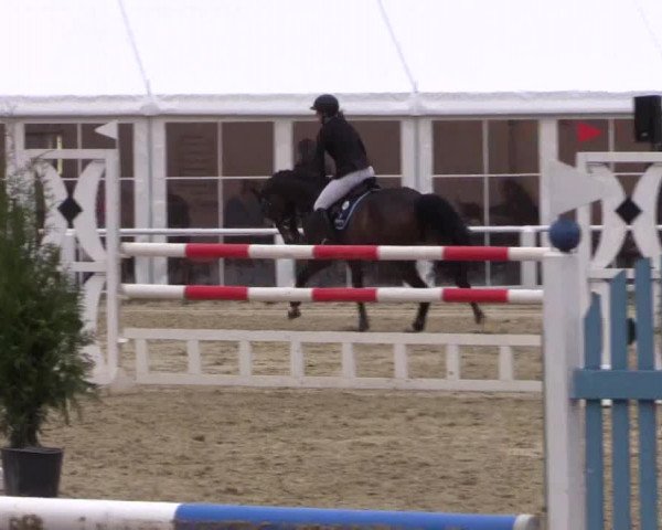 Reitturnier Bottrop 2017