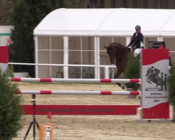 Reitturnier Bottrop 2017