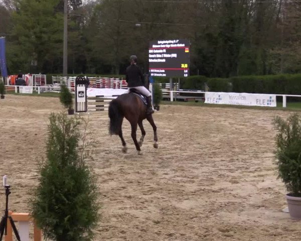 Reitturnier Bottrop 2017