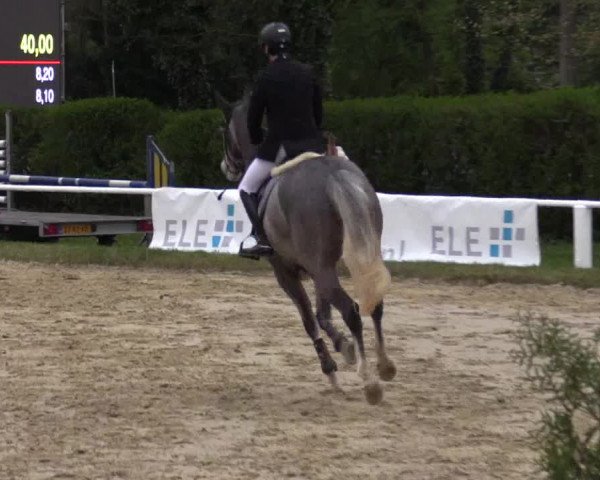 Reitturnier Bottrop 2017