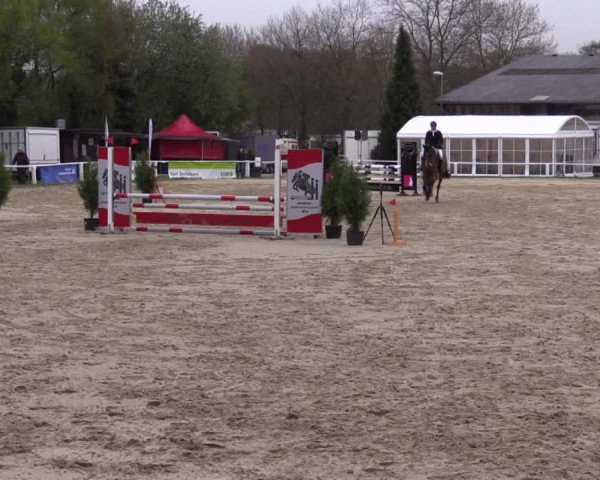 Reitturnier Bottrop 2017