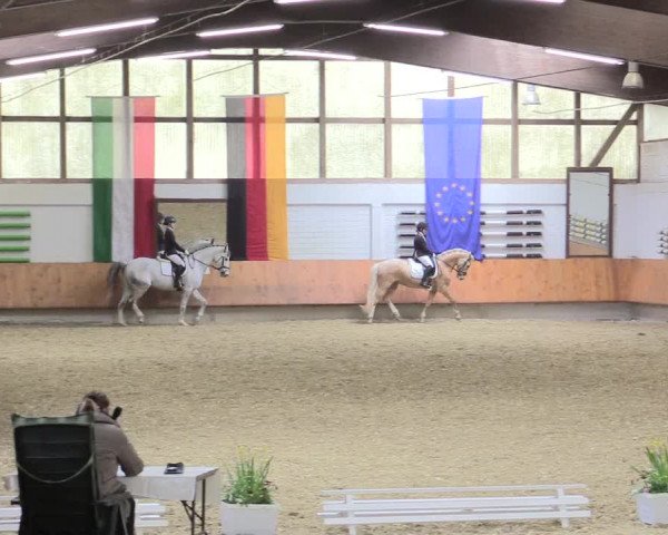 Reitturnier Bottrop 2017