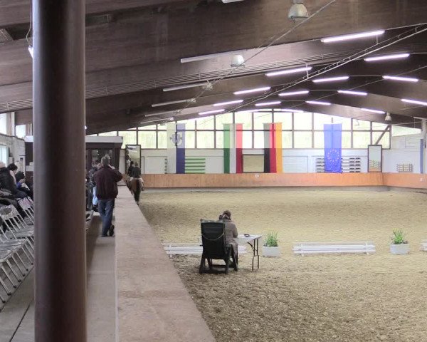 Reitturnier Bottrop 2017